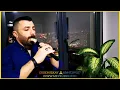 Download Lagu İNSANI AĞLATAN  DUYGUSAL DAMAR UZUN HAVA DİNLE ERDEM İLKAY MEY UZUN HAVA DİNLETİSİ