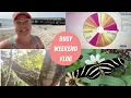 Beach Birds Books Babysitting and Butterflies A Weekend Reading Vlog