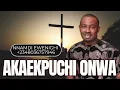 Download Lagu AKAEKPUCHI ONWA — NNAMDI EWENIGHI