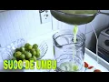 Lagu SUCO de UMBU REFRESCANTE e NATURAL