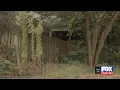 Woman charged after dead dogs found in Greenville Co
