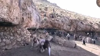 خاتون تقتل الفرنساوي 