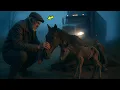 Download Lagu CAMINHONEIRO IDOSO encontra ÉGUA FERIDA E filho  ABANDONADOS À BEIRA DA estrado O QUE ELE FAZ...