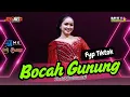 Download Lagu LANGGAM BOCAH GUNUNG - INDRI BALUWARTI || DEWARUCI MUSIC • MX AUDIO • MULYO MULTIMEDIA
