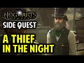 A Thief in the Night Walkthrough Follow the Trail of Coins Capture the Thief Hogwarts Legacy