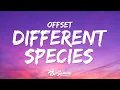 Download Lagu Offset, Gunna - Different Species (Lyrics)