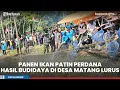 Download Lagu Panen Ikan Patin Perdana di Matang Lurus, Wabub Balangan Minta Budidaya Ikan Dapat Berkelanjutan