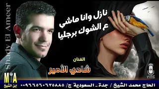 شادي الأمير   نازل وانا ماشي ع الشوك برجليا   دندنها