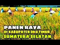 Download Lagu PANEN PADI HARGA GABAH MAHAL DI KABUPATEN OKU TIMUR SUMATERA SELATAN