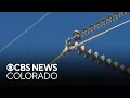 Northern Colorado city confident in underground electric grid amid seasonal storms