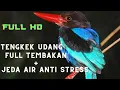 Download Lagu SUARA TENGKEK UDANG FULL TEMBAK RAPET JERNIH 3 JAM + JEDA AIR ANTI STRESS