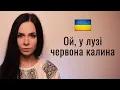 Download Lagu 🇺🇦 Ой, у лузі червона калина. Ukrainian patriotic folk song