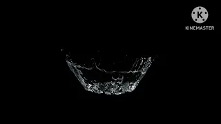 الفنان عامر سراي Naili سهلة جدي غزلان نايلي 