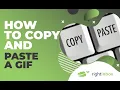 How to Copy and Paste a GIF