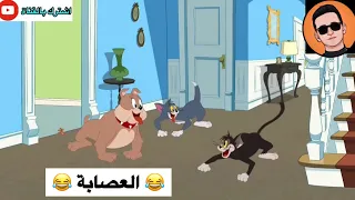 شعيط ومعيط يصيرون مثل هليل تحشيش توم وجيري دندنها