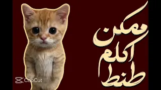 الاغنيهههه بمخييي   الاغنيه بمخي يايي اكسبلور  مواحح  ستوريات  اغاني  دندنها