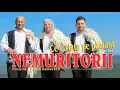 Download Lagu NEMURITORII . Ce e viata pe pamant [ COLAJ ]