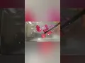 Diffusion in agar lab 2022