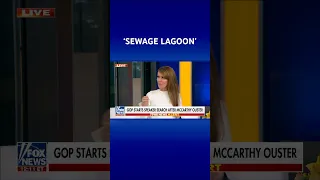 Dagen McDowell blasts toddler Gaetz for saddling up with Democrats