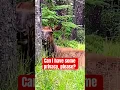 Do you mind
