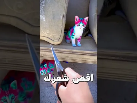 اقص شعرك وارسم فيه🔥