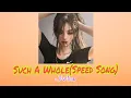 Such A Whole (Speed Song) Jvla(TikTok Version) ♬♡