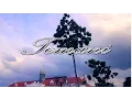 Download Lagu POWERSLAVES - TEMANI ( OFFICIAL LYRIC VIDEO )