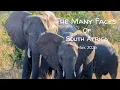 Download Lagu The Many Faces Of South Africa