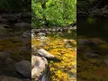 Download Lagu For everyone that needs a moment of relaxation in their feed 💚 #relaxingmusic #watersounds