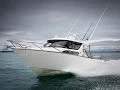 WHITE POINTER 940 PRO SPORTSMAN BEST NEW ZEALAND TRAILERBOATS