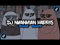 Download Lagu Dj Nyanyian Harris Nugraha X Bahana Pui ( Slowed Reverb )🎧