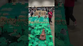 17 People Build Huge LEGO Star Wars Naboo...