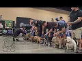 Extreme Bully Stack Off - ABKC Jacksonville BULLY Showdown 2024