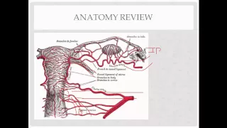 Download vaginal hysterectomy -  description, indications, and questions MP3