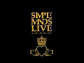 Don't You (Forget About Me) (Live)