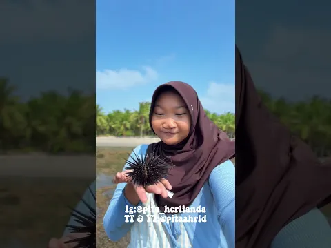 cantik kan guys  pantai  nya #pitaahrld #minivlog #adventure