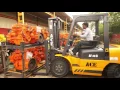ACE Forklift Truck Warehousing Equipment Diesel Forklift LPG Electric Forklift Trucks - ACE