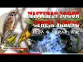 Download Lagu Masteran Sogon Materi Gereja Tarung Mudah Masuk