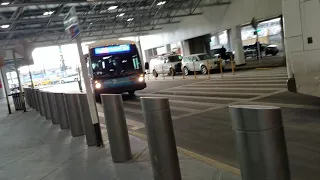 A Little Q72 and M60 SBS Action at LGA Airport