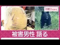Download Lagu 【独自】生々しい51針の被害男性が語る恐怖　ヒグマ襲撃 悲痛の友人「大親友失った」(2025年7月13日)