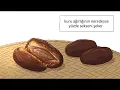 İnsanlar hurmayı nasıl evcilleştirdi?