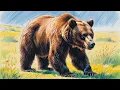 Download Lagu The Bear and the Bee