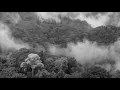 Gorgoroth-Gorgoroth (Official Video)