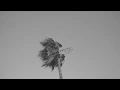 Download Lagu Hania Rani - Sun (Official Video) [Gondwana Records]