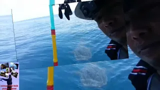 mancing ketemu hiu paus besar 