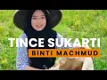 Tince Sukarti binti Mahmud (Original illustration Version)
