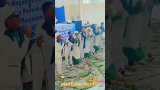 Baandii Shanan Gibee 