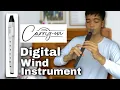 Download Lagu Introducing Carry-on Digital Wind Instrument | Tutorial \u0026 Review