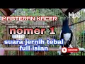 Lagu MASTERAN KACER SUARA JERNIH TEBAL FULL ISIAN GACOR SIANG MALAM