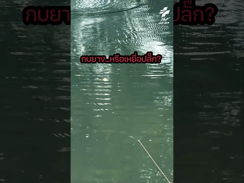 แอ็คชั่นแบบนี้.....กบยางดำน้ำหรือเหยื่อปลั๊ก? #TSF #comingsoon #น้าตุ้มtsf #sabotage #กบยางดำน้ำ